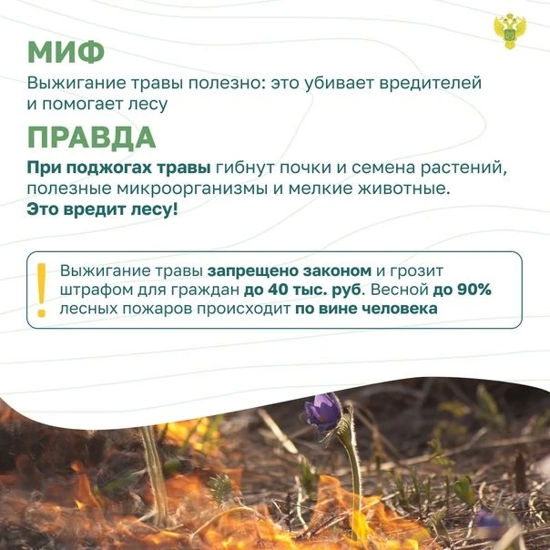 Не отнимай у них дом