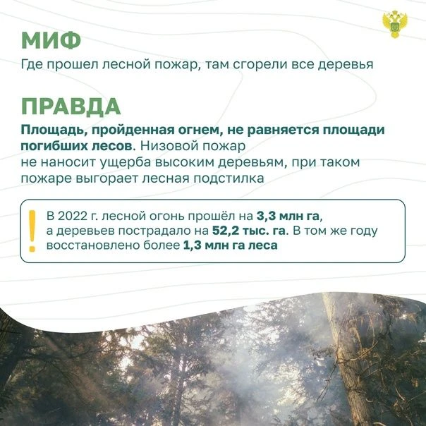 Миф и правда 2